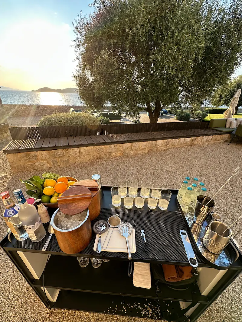 Cocktail art and presentation